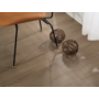 Ламинат Lamiwood СЕЛЕКТ (SELECT) 1214 Дуб Карамельный 34 класс 12 мм Ламинат Lamiwood СЕЛЕКТ (SELECT) 1214 Дуб Карамельный 34 класс 12 мм